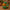Elf Duck V2 - left side