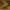 Elf Duck V2 - right side