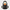 Hooded Emperor Duck 360 degree rotating view