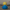 Fallout Boy Duck – Back View