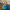 Fallout Boy Duck – Right Side
