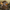 Fallout Ghoul Duck – Camera Facing