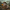 Fallout Ghoul Duck – Right Side