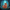 Fantasy Elf Duck - View 1