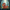 Fantasy Elf Duck - View 3
