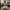Female Hairdresser Duck – Back