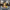 Female Hairdresser Duck – Camera Facing