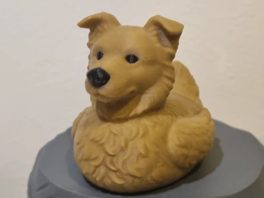 Fluffy Collie Duck