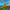 Fortnite Default Duck – Back