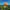 Fortnite Default Duck – Camera Facing