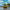 Fortnite Default Duck – Left Side