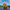Fortnite Default Duck – Right Side