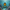 Fortnite Fishstick Duck – Camera Facing
