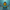 Fortnite Fishstick Duck – Front