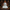 Ghost Duck - View 1 with Spooky Studio