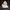 Ghost Duck - View 3 with Spooky Studio