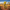 Giraffe Duck - View 1 with African Savanna