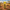 Giraffe Duck - View 2 with African Savanna