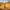 Giraffe Duck - View 3 with African Savanna