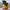 Goku-Inspired Duck - left profile view
