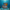 Hammerhead Shark Duck - Camera Facing