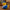 Hanukkah Duck - left profile view