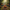 Harmonized Image 1 - Enchanted Forest