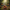 Harmonized Image 2 - Enchanted Forest