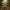 Harmonized Image 2 - Enchanted Forest