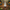 Harmonized Image 2 - Jungle Rainforest