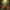 Harmonized Image 3 - Enchanted Forest