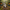 Harmonized Image 3 - Enchanted Forest