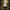 Harmonized Image 3 - Jungle Rainforest