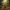Harmonized Image 4 - Enchanted Forest