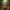 Harmonized Image 4 - Enchanted Forest