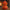Heat Miser-Inspired Duck - back view