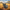 Hippo Duck - View 1