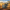 Hippo Duck - View 4