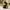 Dapper Groom Duck left-facing side profile on a wedding-themed background