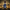 Scrooge McDuck collectible duck back view