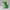 Disgust-Inspired Duck figurine left side profile