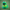 Kermit Duck collectible camera-facing view