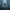 Edward Cullen-Inspired Duck - Camera-Facing View | Zero Ducks Given