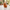 Bricked Duck, camera-facing view