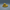 Deflated Duck - Left Side View | Zero Ducks Given