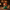 Winifred Sanderson collectible duck camera-facing view in a candlelit cottage