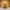 Dolly Parton-Inspired Duck - Left Side View | Zero Ducks Given