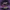 Darkwing Duck - Back View | Zero Ducks Given