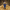 Scrooge McDuck collectible duck camera facing view
