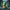 Morbo-Inspired Duck camera-facing view